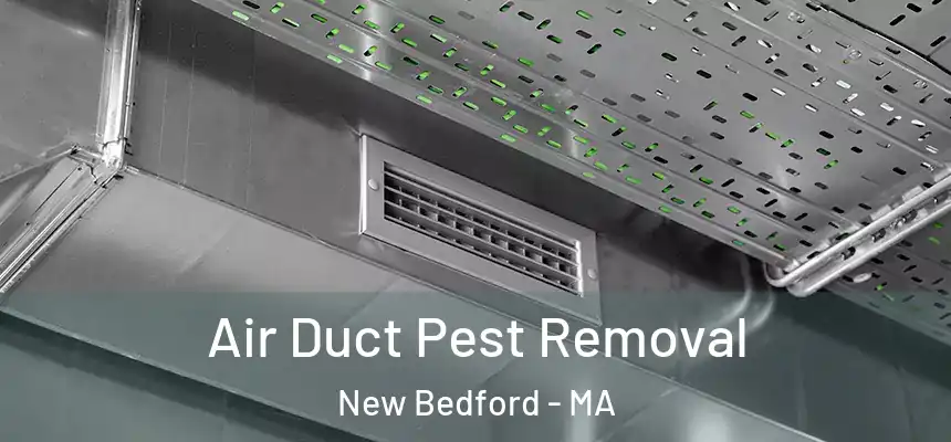 Air Duct Pest Removal New Bedford - MA