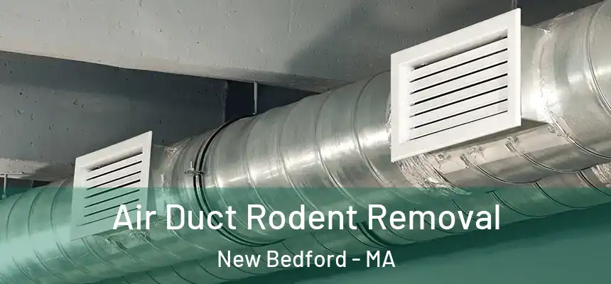 Air Duct Rodent Removal New Bedford - MA