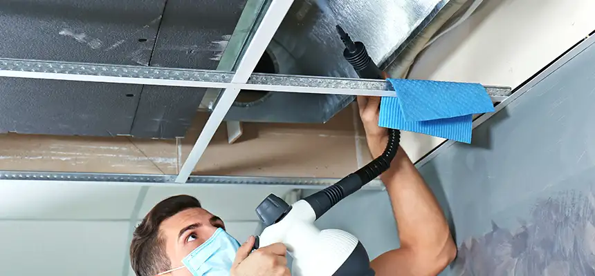 Our Air Duct Rodent Removal Services in New Bedford, MA