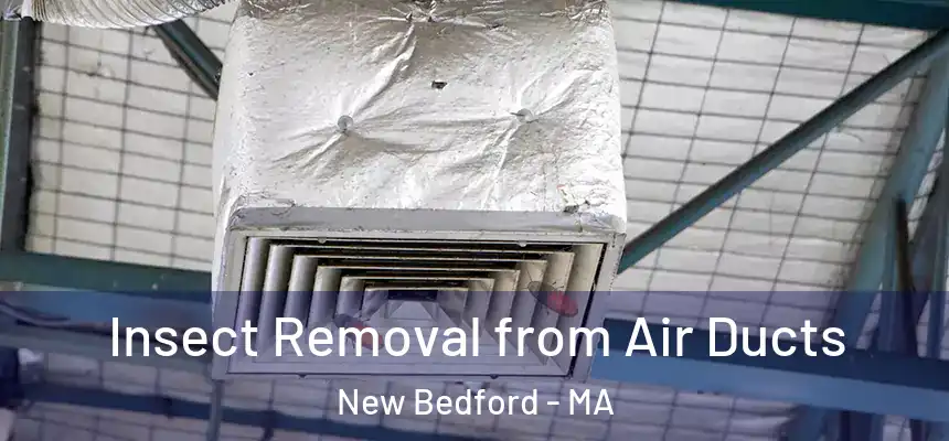 Insect Removal from Air Ducts New Bedford - MA