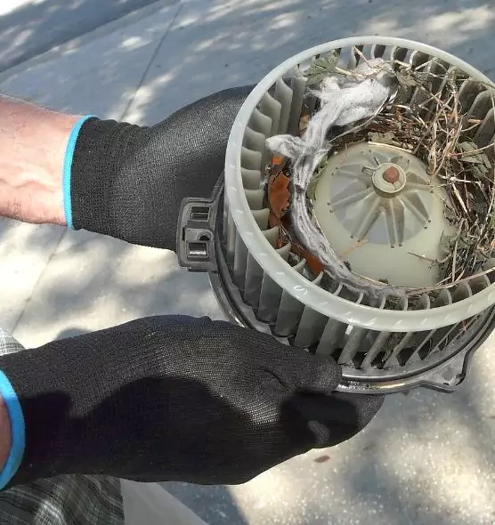 About Air Duct Rat Removal in New Bedford, MA