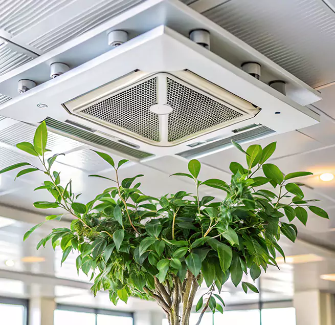 Why Homeowners & Businesses Trust Us in New Bedford, MA?